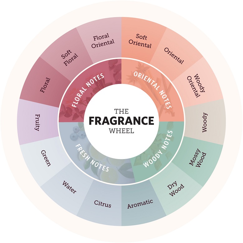 Michael Edwards' fragrance wheel. It depicts the four fragrance families and their subgroups. 